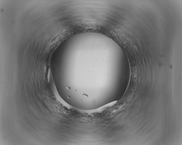 X0000088660916200706081659