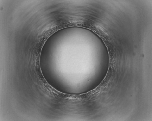 X0000088660917200706081659