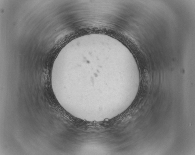 X0000088660918200706081659