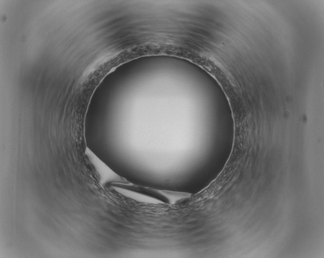 X0000088660919200706081659