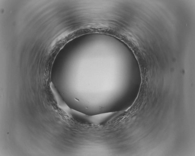 X0000088660920200706081659