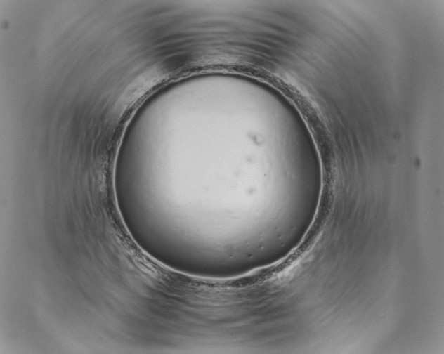 X0000088660921200706081659