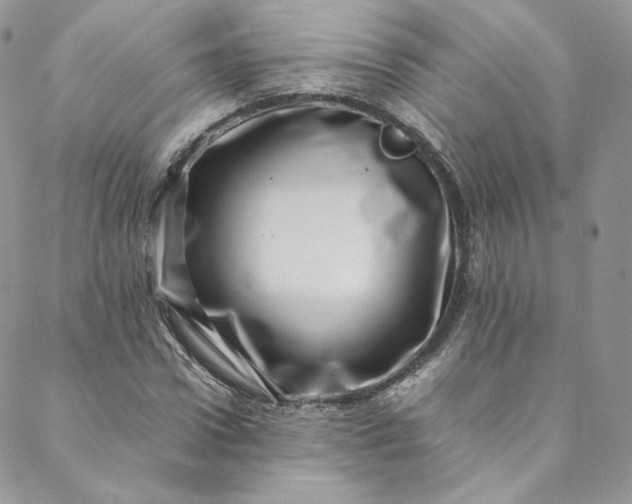 X0000088660922200706081659