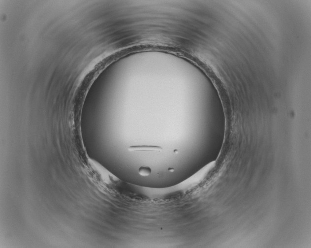 X0000088660923200706081659