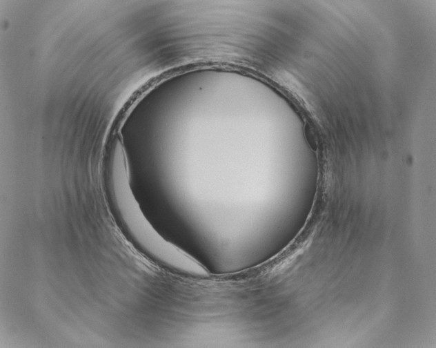 X0000088660924200706081659