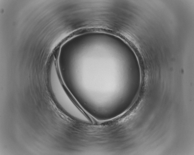 X0000088660925200706081659