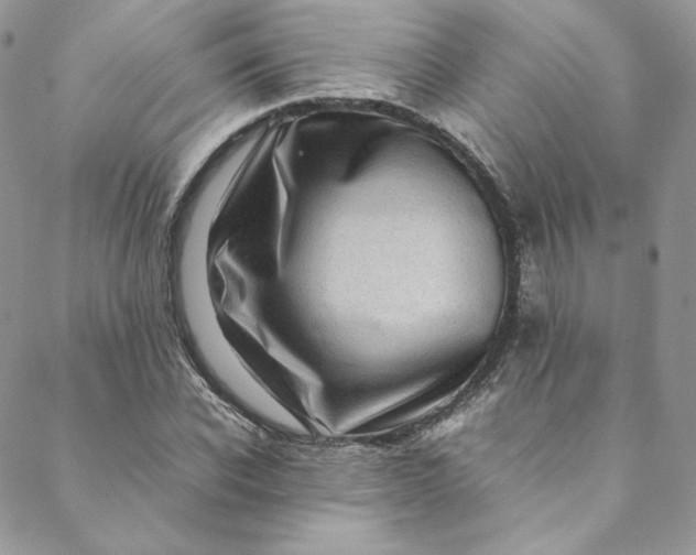 X0000088660926200706081659