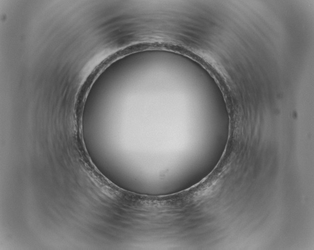 X0000088660927200706081659