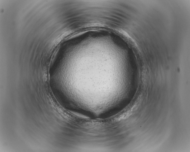 X0000088660929200706081659