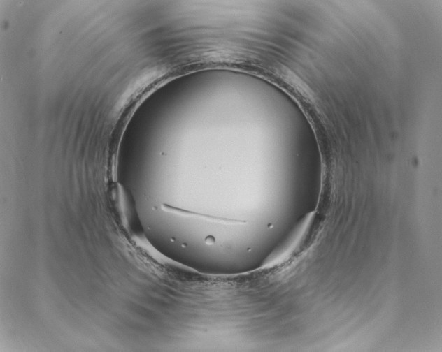 X0000088660930200706081659