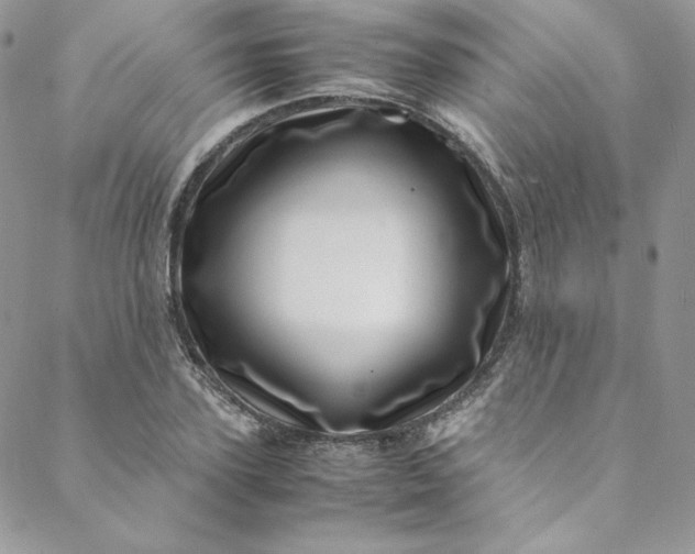 X0000088660931200706081659