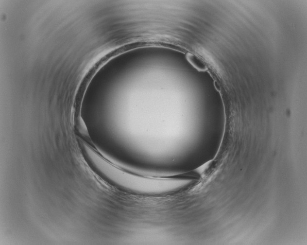 X0000088660932200706081659