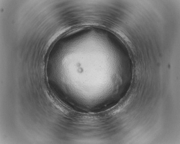 X0000088660933200706081659