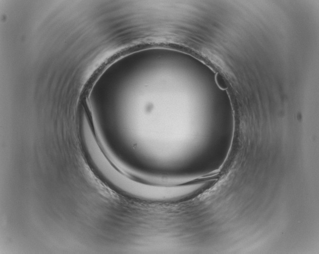 X0000088660934200706081659