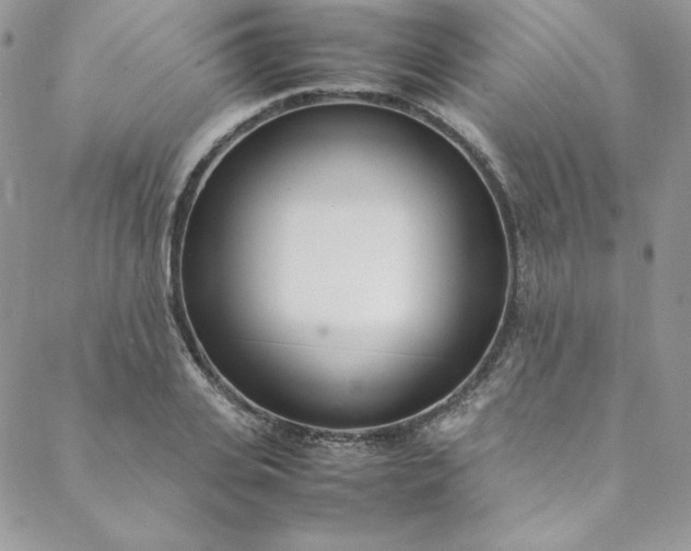 X0000088660935200706081659