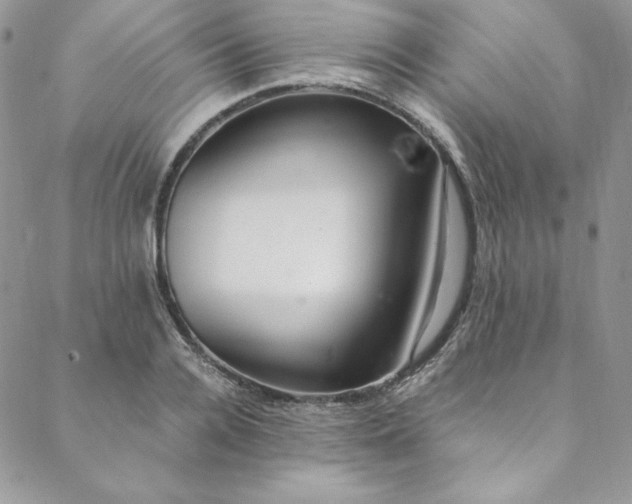 X0000088660936200706081659