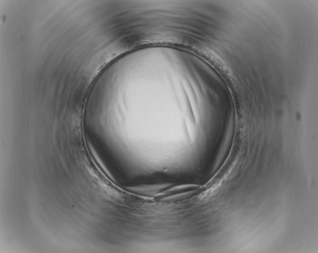 X0000088660937200706081659