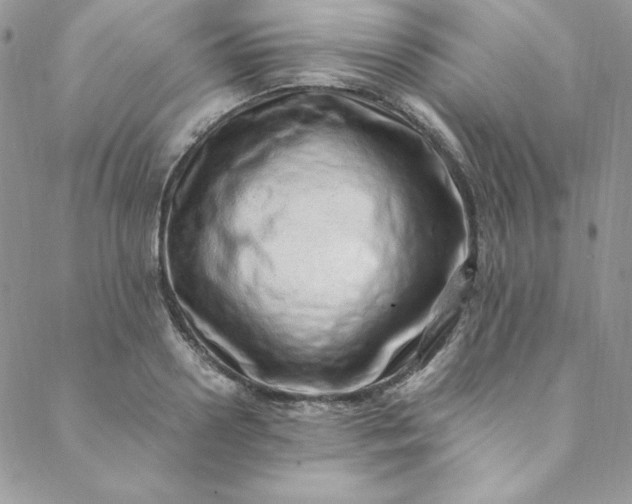 X0000088660938200706081659