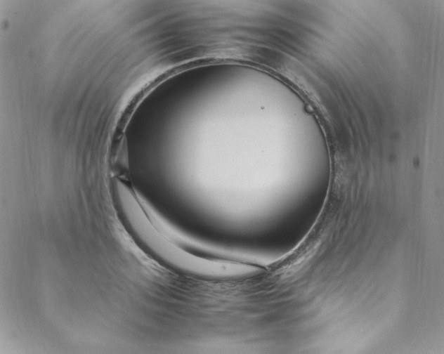 X0000088660939200706081659