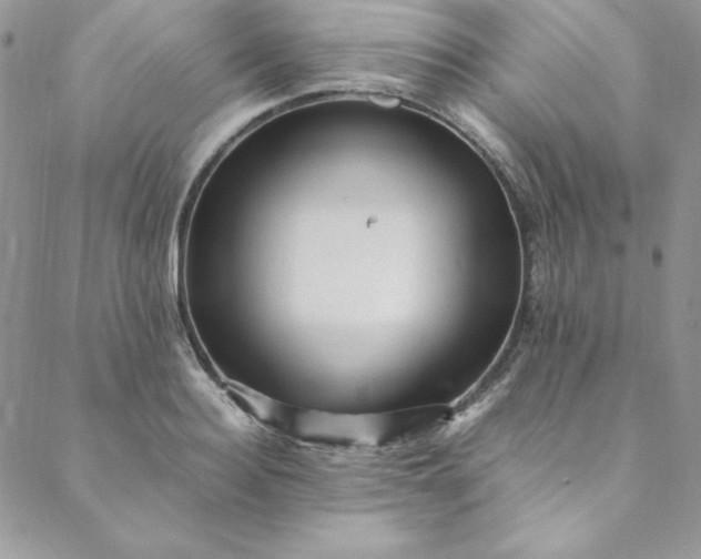 X0000088660940200706081659