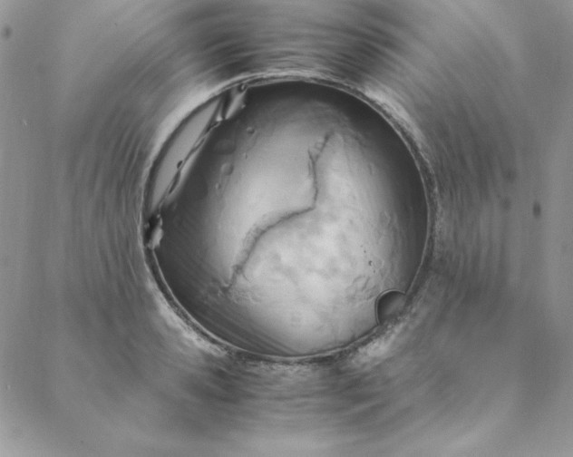 X0000088660941200706081659