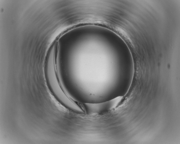 X0000088660942200706081659