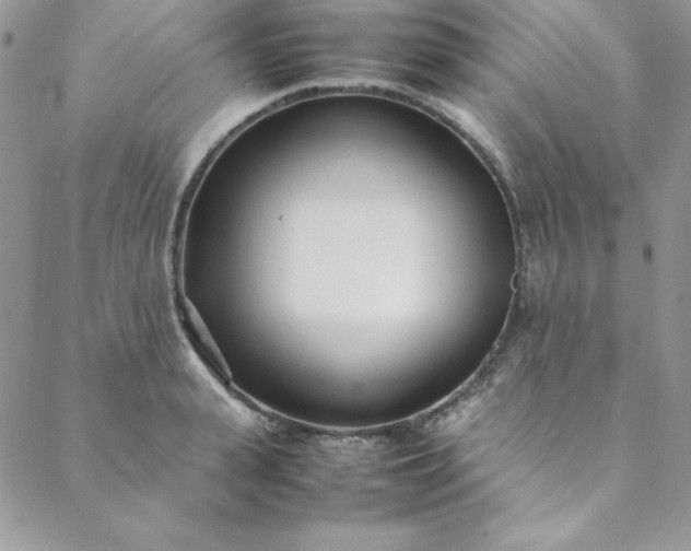 X0000088660943200706081659