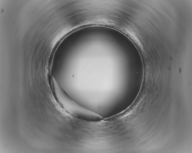 X0000088660944200706081659