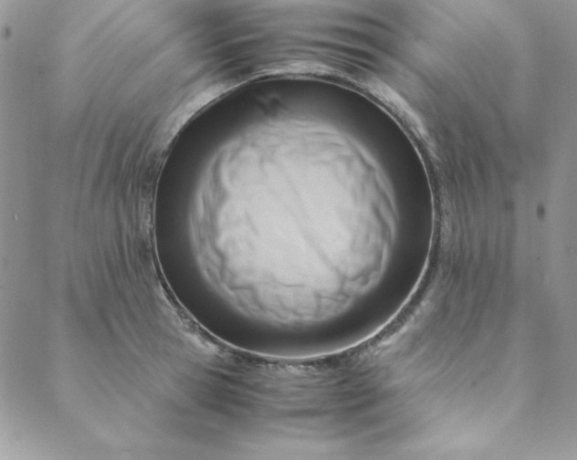 X0000088660945200706081659