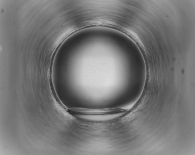 X0000088660946200706081659