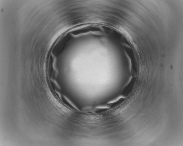 X0000088660947200706081659