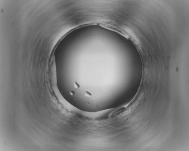 X0000088660948200706081659