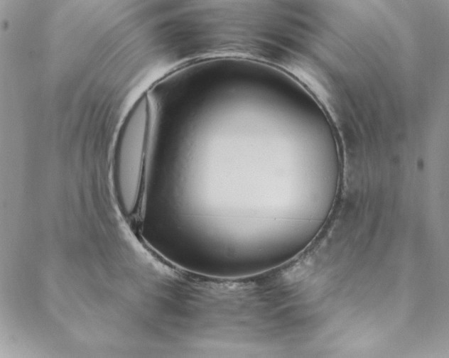 X0000088660949200706081659