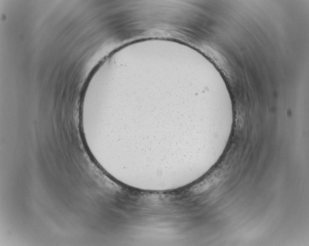 X0000088660950200706081659