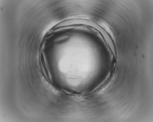 X0000088660952200706081659