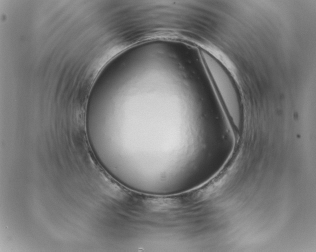 X0000088660953200706081659