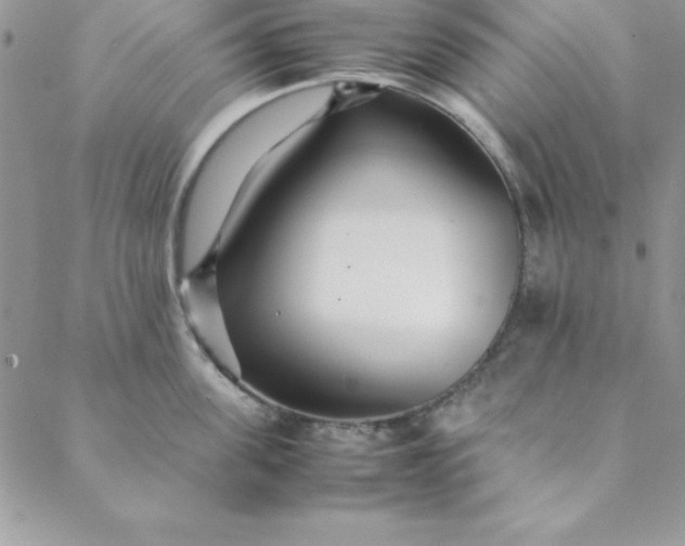 X0000088660955200706081659