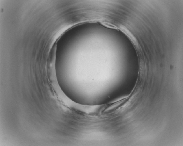 X0000088660956200706081659