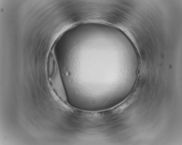 X0000088660957200706081659