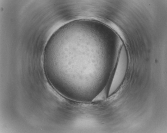 X0000088660958200706081659