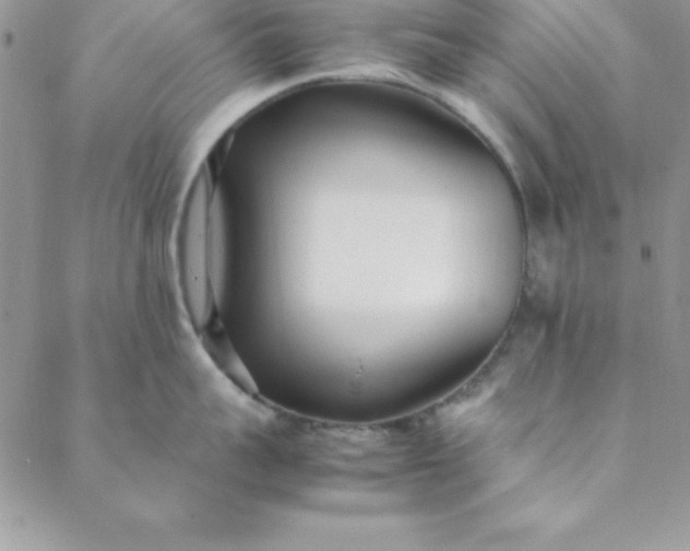 X0000088660959200706081659