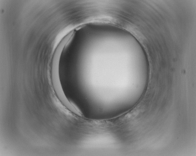 X0000088660960200706081659