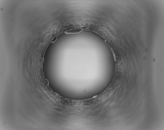 X0000088660961200706081659