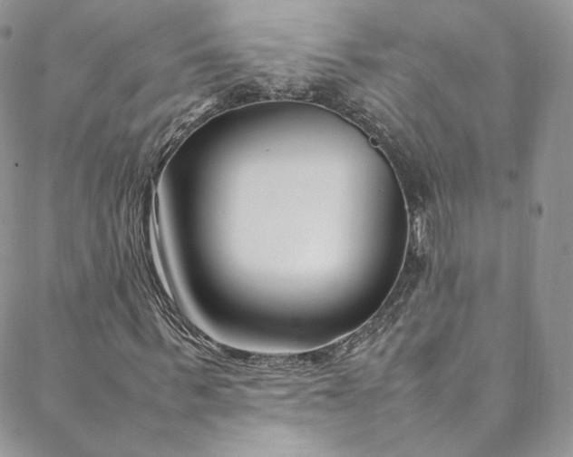 X0000088660963200706081658