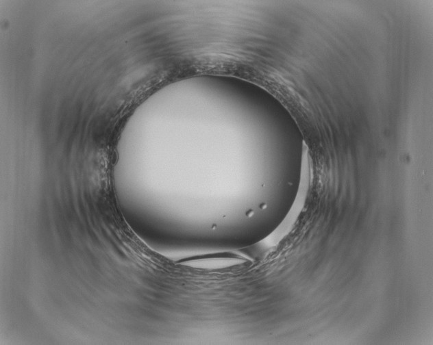 X0000088660964200706081658