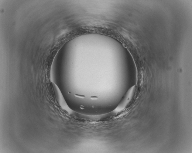 X0000088660965200706081658