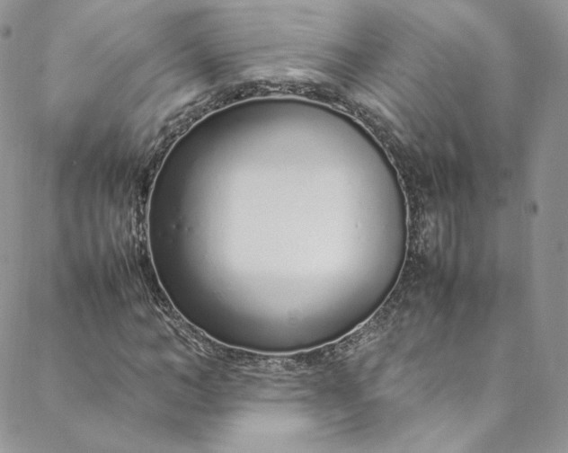 X0000088660966200706081658