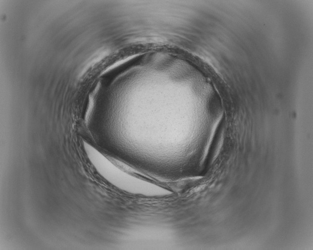 X0000088660967200706081658