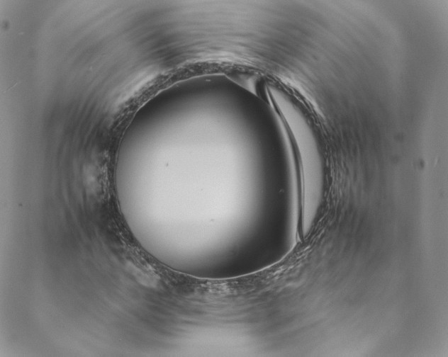 X0000088660968200706081658