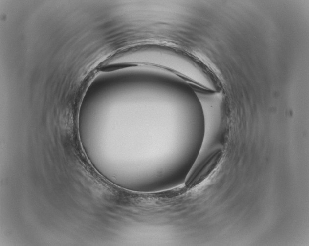 X0000088660969200706081658